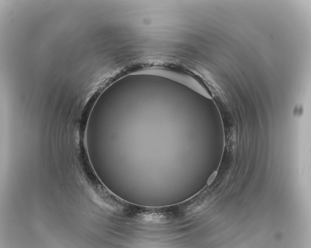 X0000094210500200711021119