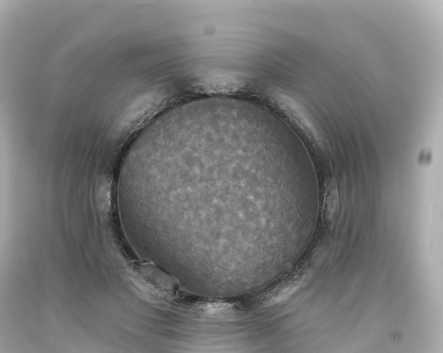 X0000094210501200711021119