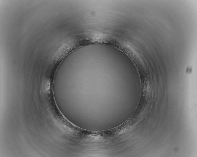 X0000094210502200711021119