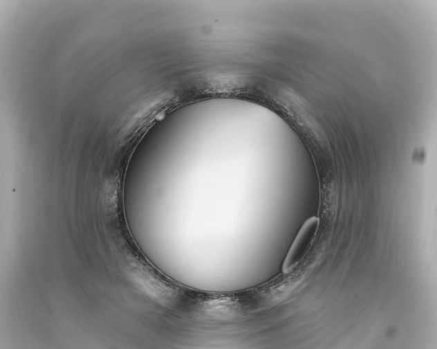 X0000094210505200711021119