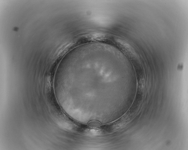 X0000094210506200711021118