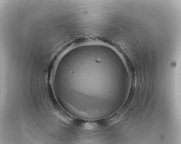 X0000094210508200711021118