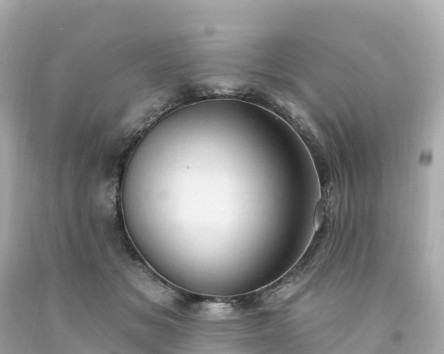 X0000094210509200711021118
