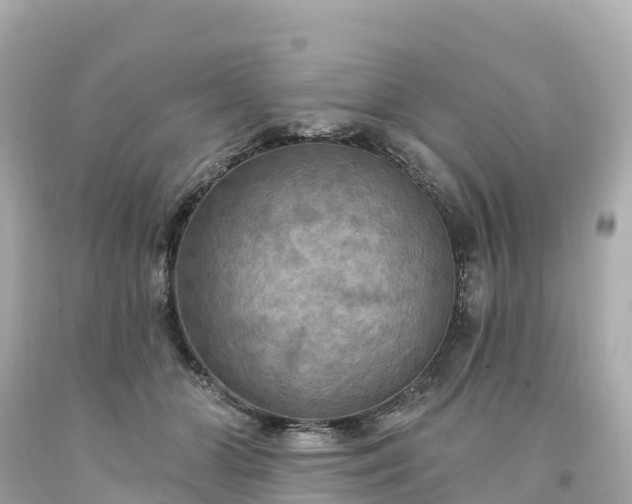 X0000094210510200711021118