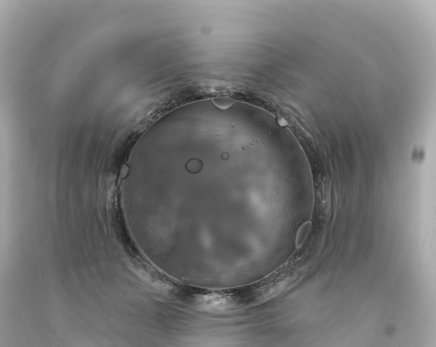 X0000094210511200711021118