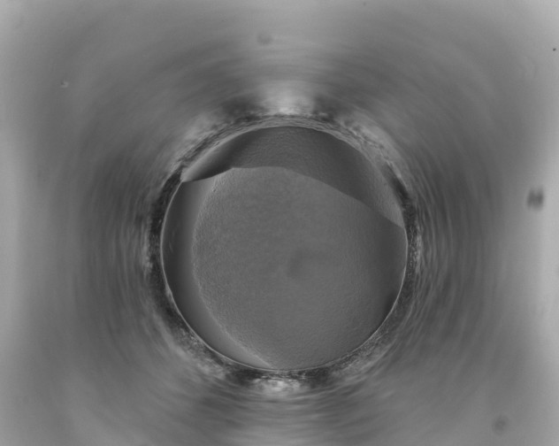 X0000094210512200711021118