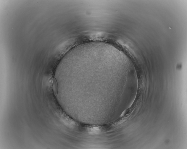 X0000094210513200711021118