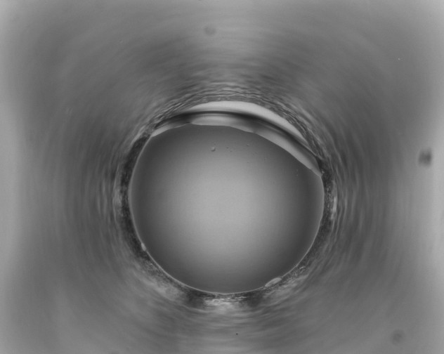 X0000094210516200711021118