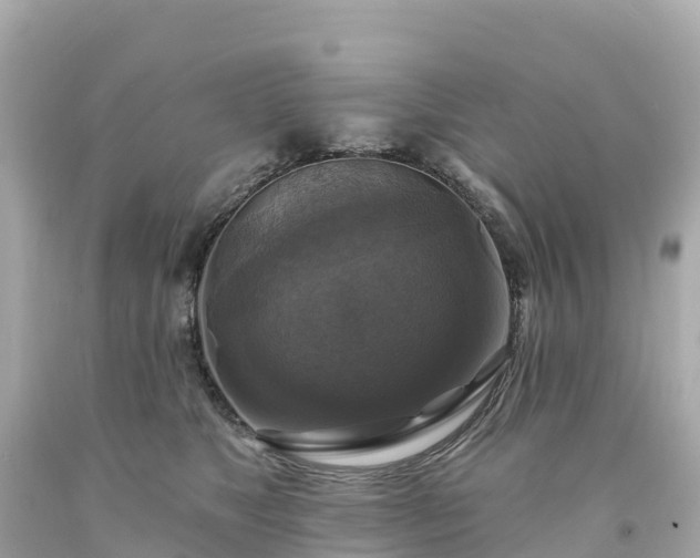 X0000094210517200711021118