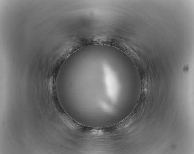 X0000094210519200711021118