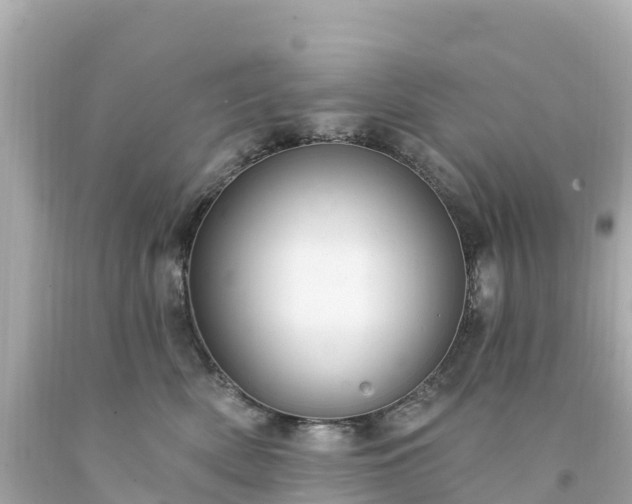 X0000094210522200711021118