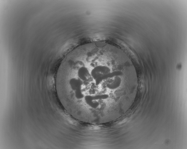 X0000094210523200711021118