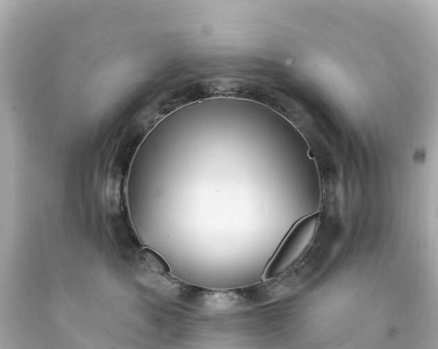 X0000094210525200711021118