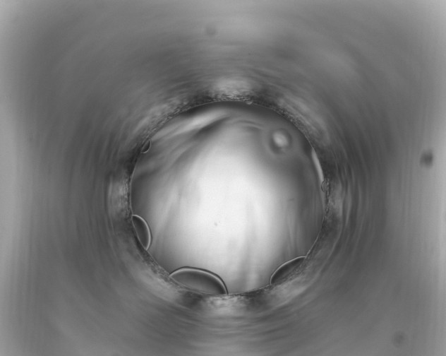 X0000094210526200711021118