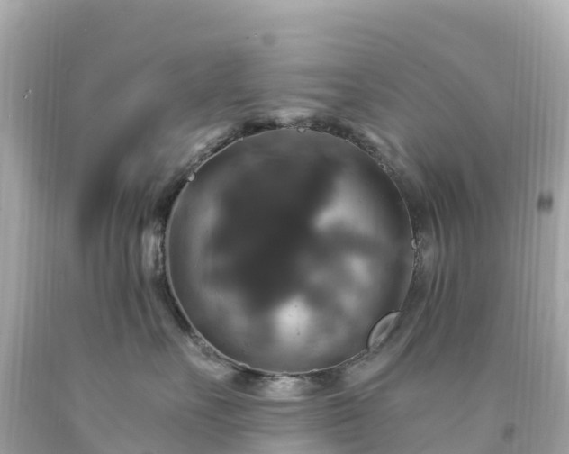 X0000094210527200711021118