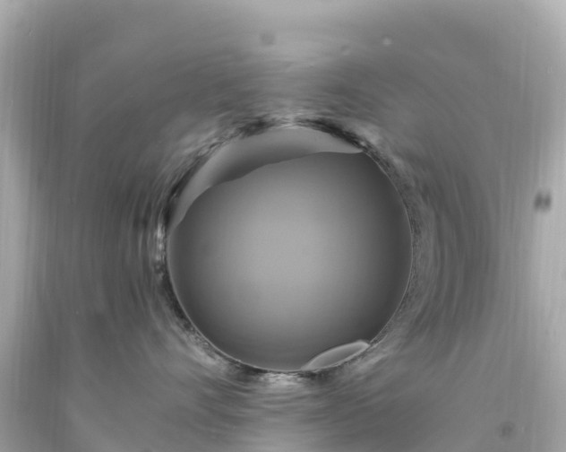 X0000094210528200711021118