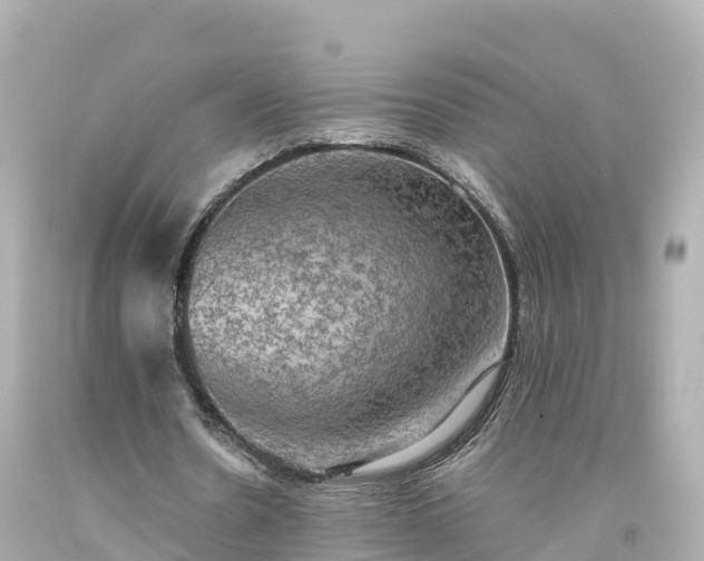 X0000094210530200711021118