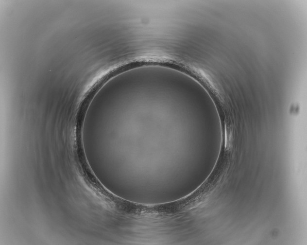 X0000094210531200711021118