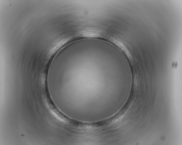 X0000094210533200711021118