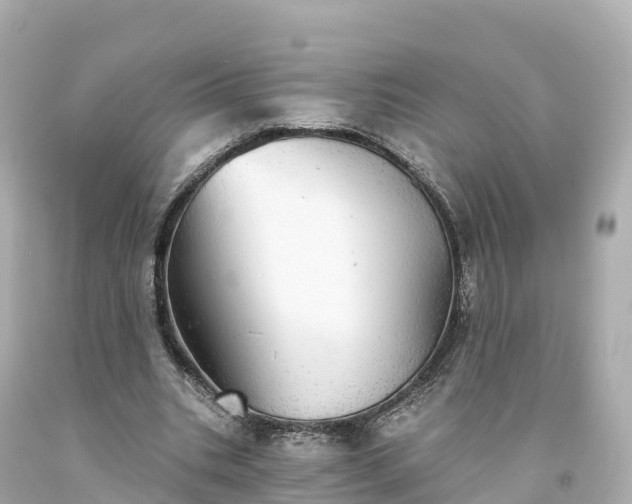X0000094210535200711021118