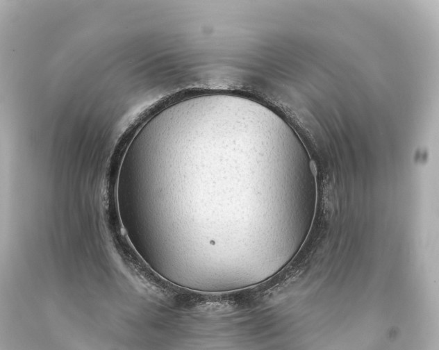 X0000094210536200711021118