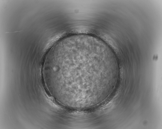 X0000094210537200711021118