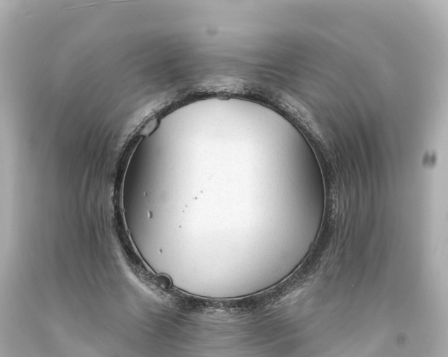 X0000094210538200711021118