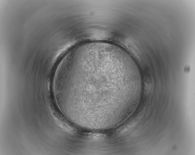 X0000094210539200711021118