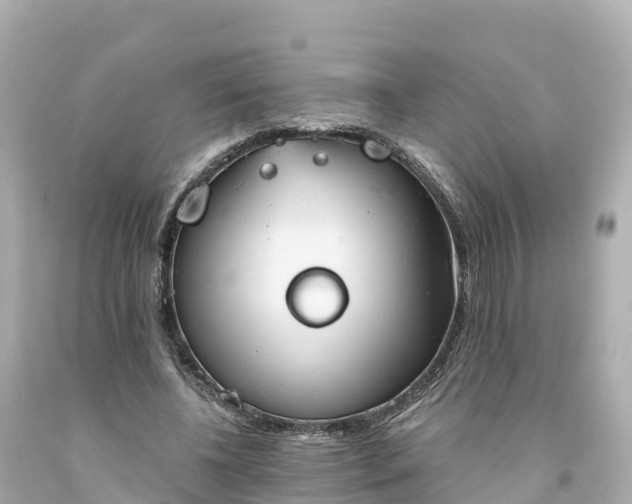 X0000094210540200711021118