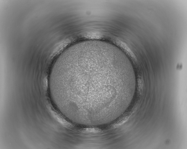X0000094210541200711021118