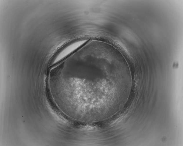 X0000094210542200711021118