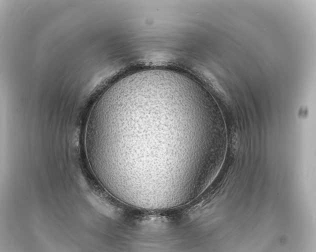 X0000094210543200711021118