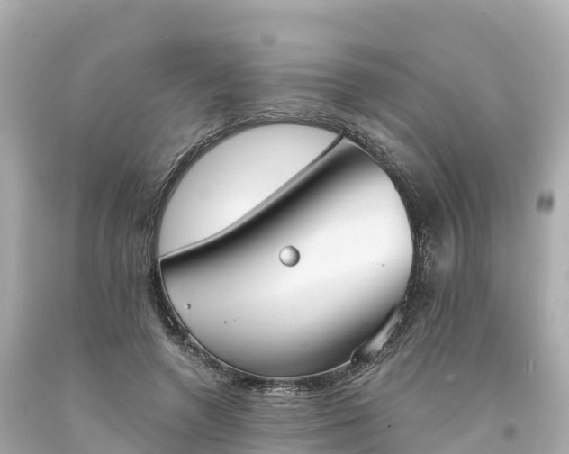 X0000094210546200711021118