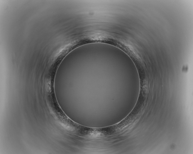 X0000094210547200711021118