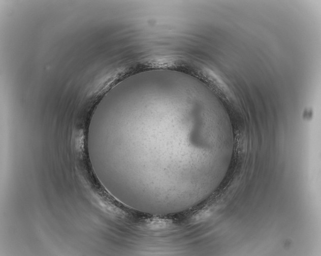 X0000094210549200711021118