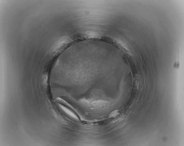X0000094210550200711021118