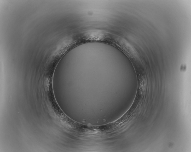 X0000094210551200711021118