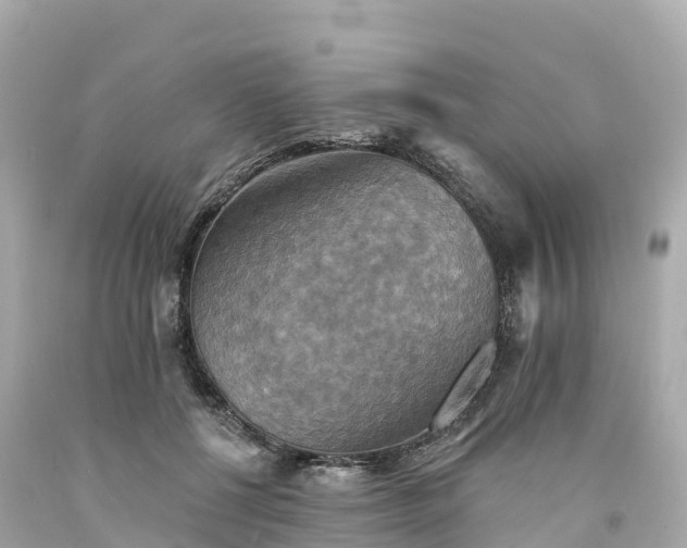 X0000094210552200711021118