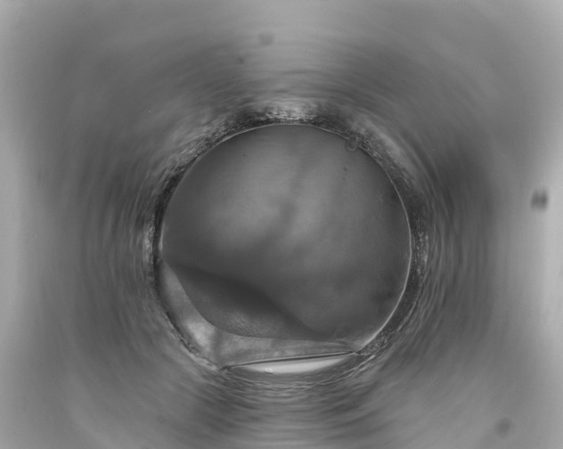 X0000094210553200711021118