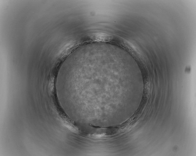 X0000094210554200711021118