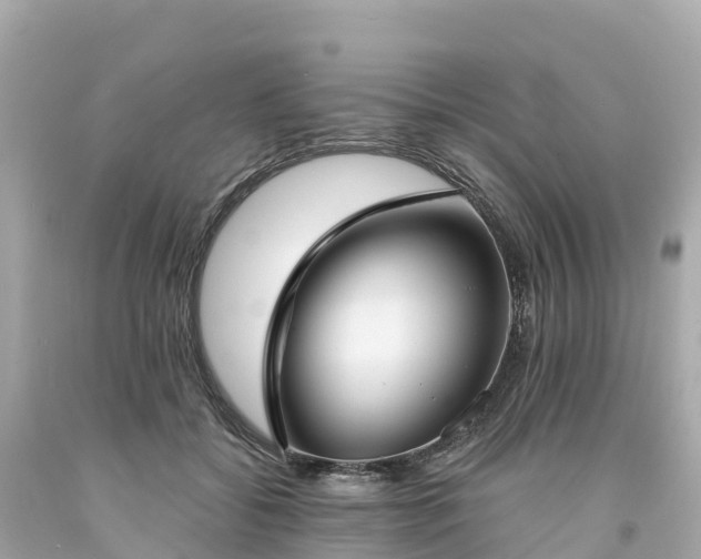 X0000094210556200711021118