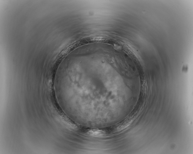 X0000094210557200711021118