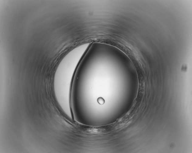 X0000094210558200711021118
