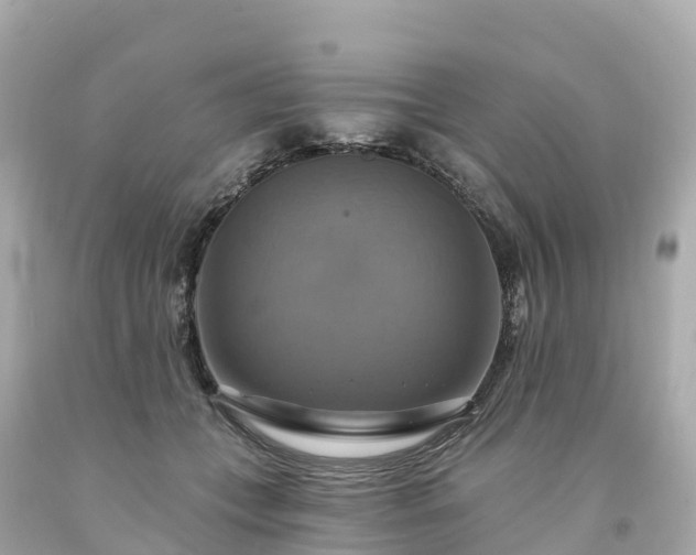X0000094210559200711021118