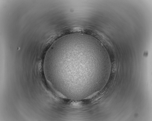 X0000094210560200711021118