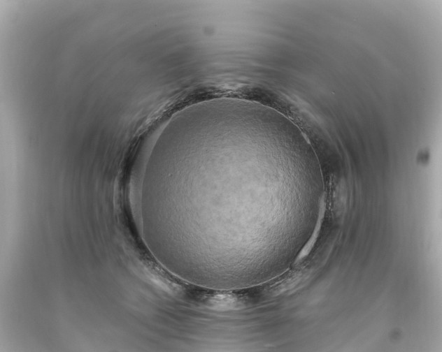 X0000094210562200711021118
