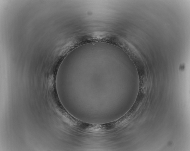 X0000094210563200711021118