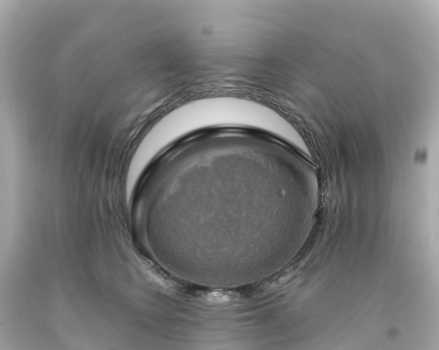 X0000094210566200711021118