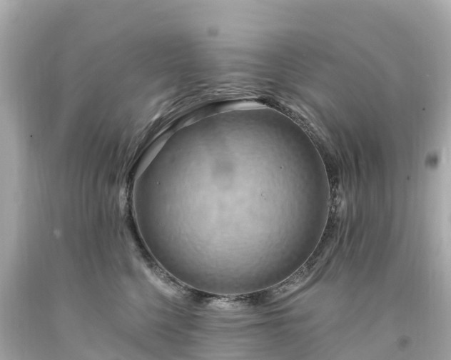 X0000094210568200711021118