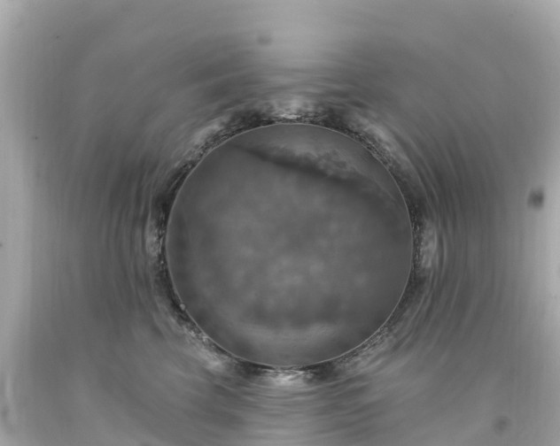 X0000094210569200711021118